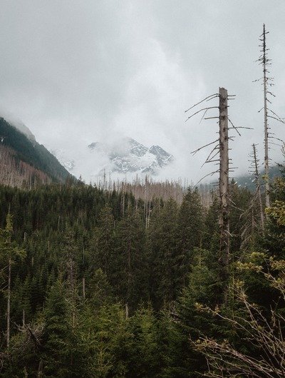 Nature & Landscape